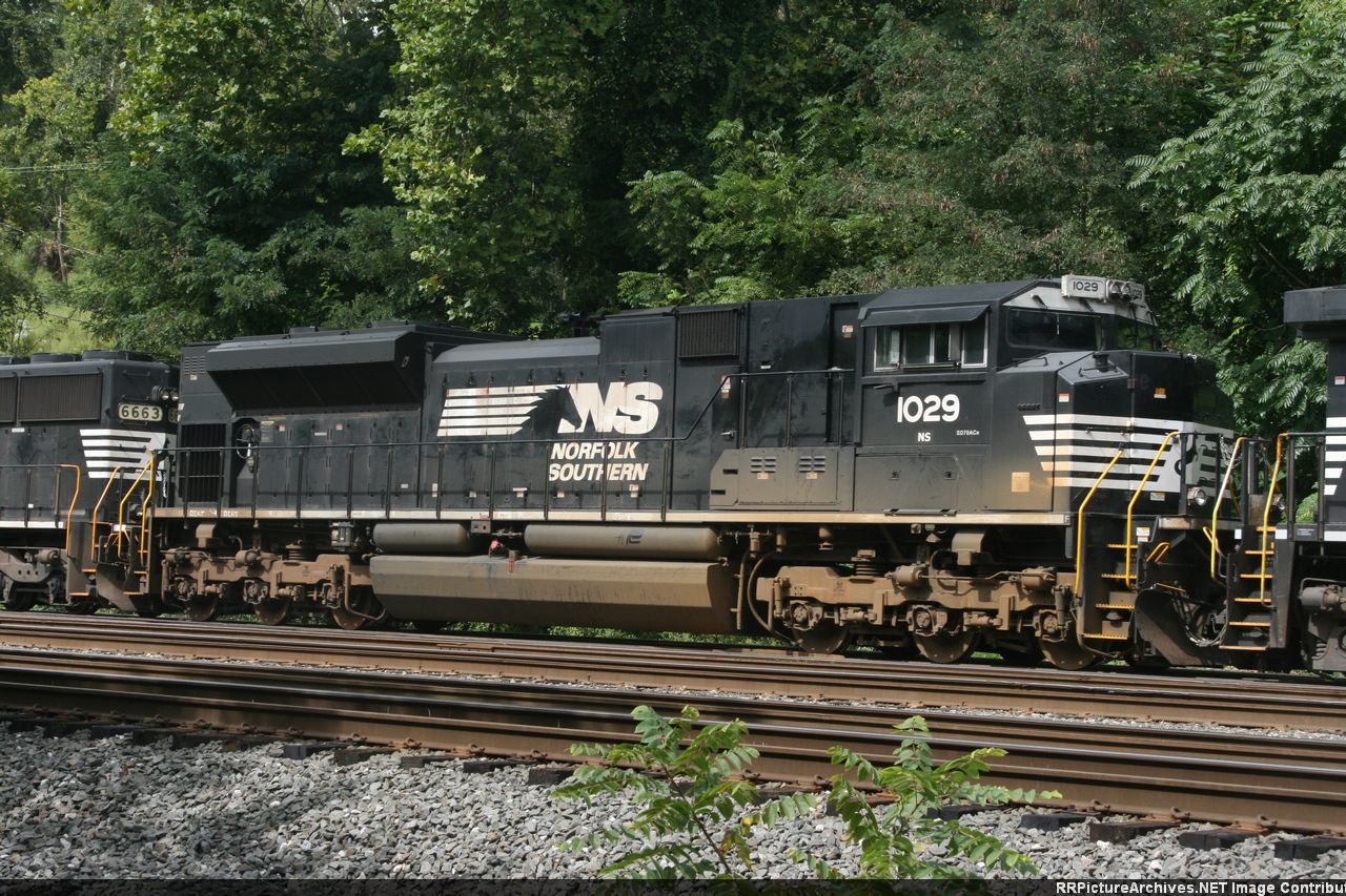 NS 1029